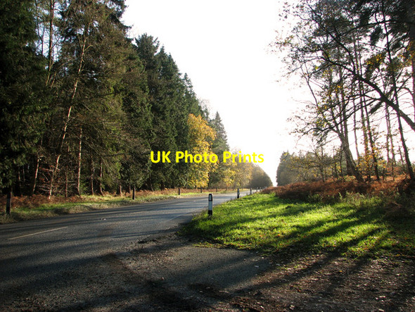 Photo 6"x4" The B1106 road past Bury Bottom, Brandon Brandon\/TL7886 c2011