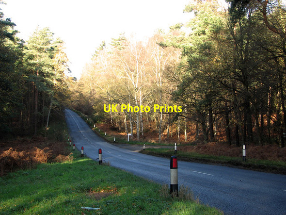 Photo 6"x4" Bury Bottom, Brandon Brandon\/TL7886 c2011