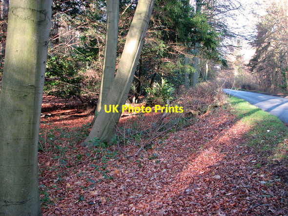 Photo 6"x4" The B1106 road past Mount Plantation, Brandon Park Brandon\/TL7886 c2011