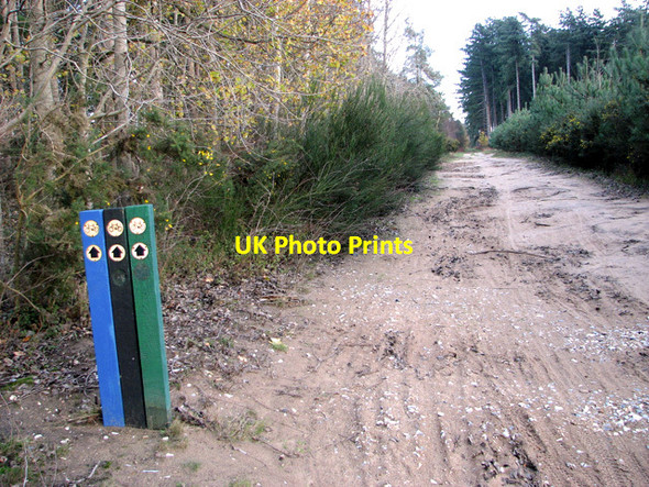 Photo 6"x4" Cycle path in Session Heath, Brandon Brandon\/TL7886 c2011