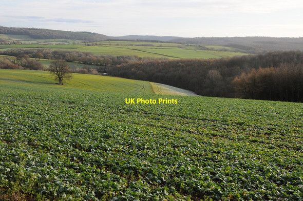 Photo 6"x4" Arable land near Cobbler's Plain New Inn\/SO4800 c2011