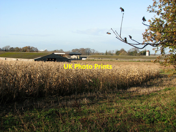Photo 6"x4" Pig houses at Breckland Farm, Feltwell Methwold c2011