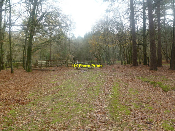 Photo 6"x4" Burley Old Inclosure, gates Burley Lawn c2011