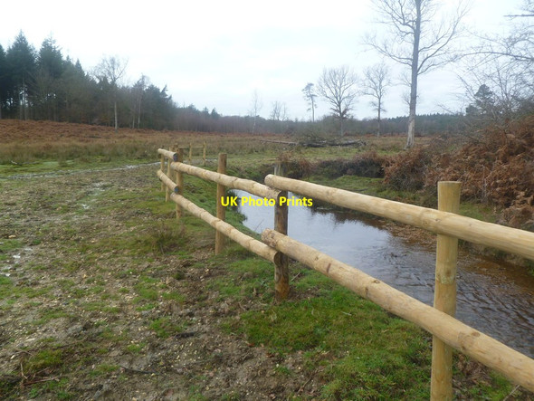 Photo 6"x4" Burley Old Inclosure, fence Burley Lawn c2011