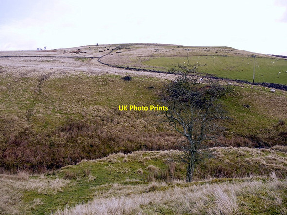 Photo 6"x4" Landshot Hill from the south-west Elsdon\/NY9393 c2011