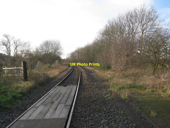 Photo 6"x4" The railway towards Snaith Snaith c2011