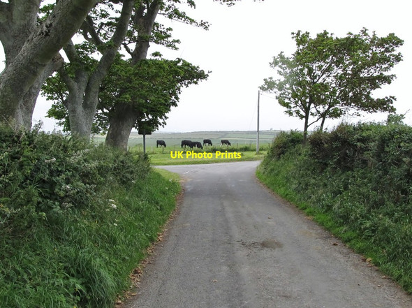Photo 6"x4" The junction of the Rossglass and Point Roads Killough c2011
