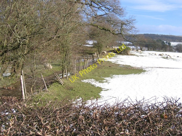 Photo 6"x4" Sheepfield near Llanarmon yn Ial Bryn-yr-ogof c2007