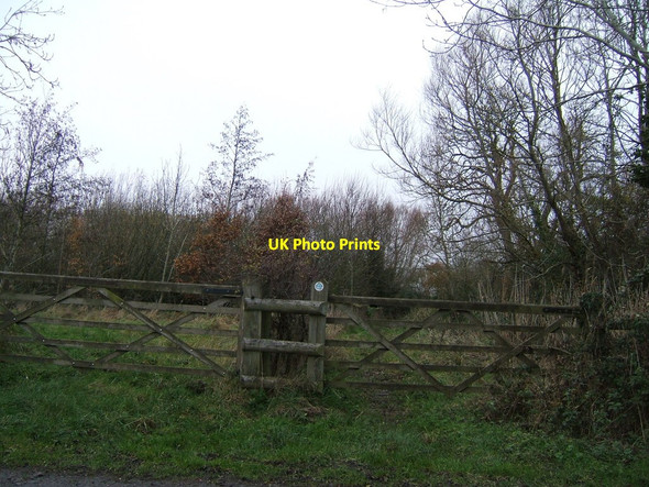 Photo 6"x4" Footpath towards Buster's Brake Nupdown c2011