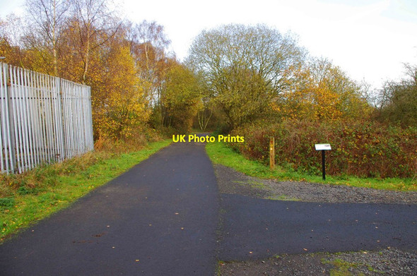 Photo 6"x4" Junction of paths at Burlish Top Nature Reserve, Stourport-on-Severm Stourport-on-Severn c2011