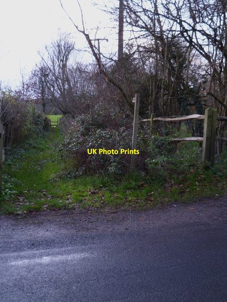 Photo 6"x4" Footpath going west off Milland Lane Chorley Common c2011