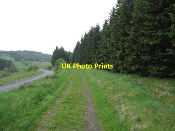 Photo 6"x4" Track Bed of Border Counties Railway near Kerseycleugh Bridge Kielder c2011