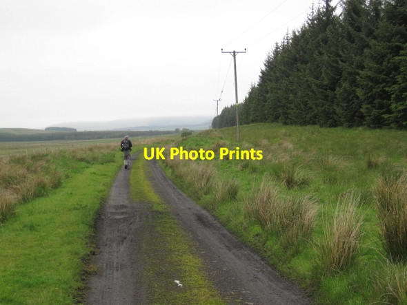 Photo 6"x4" Track Bed of Border Counties Railway Kielder c2011
