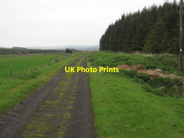 Photo 6"x4" Track Bed of Border Counties Railway leading to Deadwater Station Kielder c2011