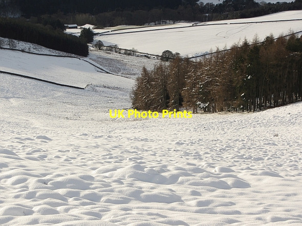 Photo 6"x4" Perlooie Wood Holylee c2011