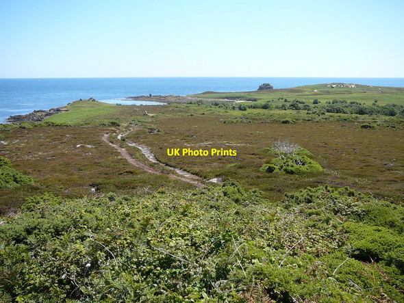 Photo 6"x4" Heathland on the eastern side of Gugh Hugh Town c2011