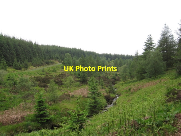 Photo 6"x4" Deadwater Burn Valley Deadwater Fell c2011