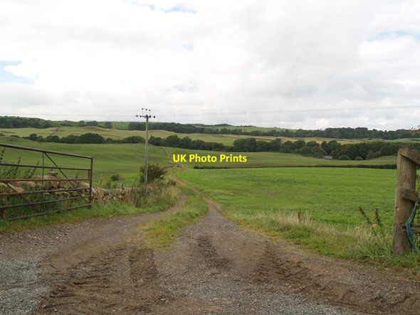 Photo 6"x4" Field track to River Dee Tongland c2010