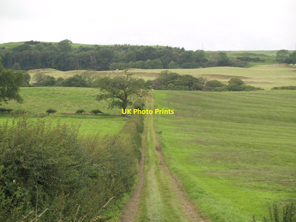 Photo 6"x4" Field Track towards River Dee Tongland c2010
