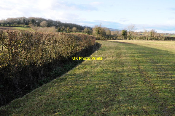 Photo 6"x4" The Gloucestershire Way near Ley Court Wood Birdwood c2011