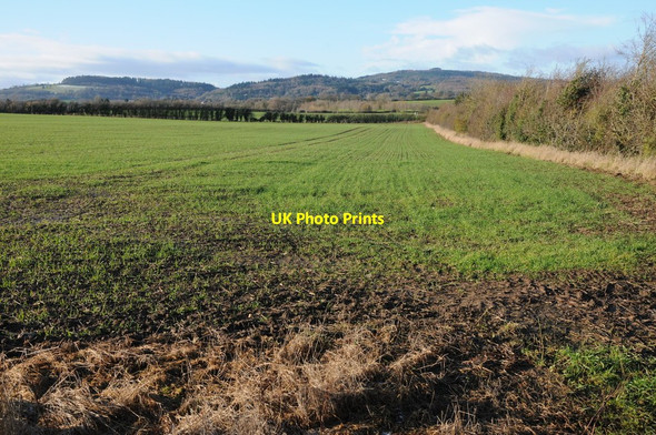 Photo 6"x4" Arable field near Birdwood Birdwood c2011