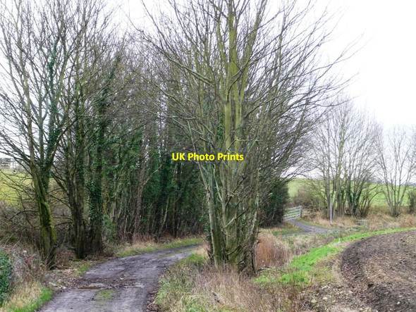 Photo 6"x4" Whin Lane Lumby c2011