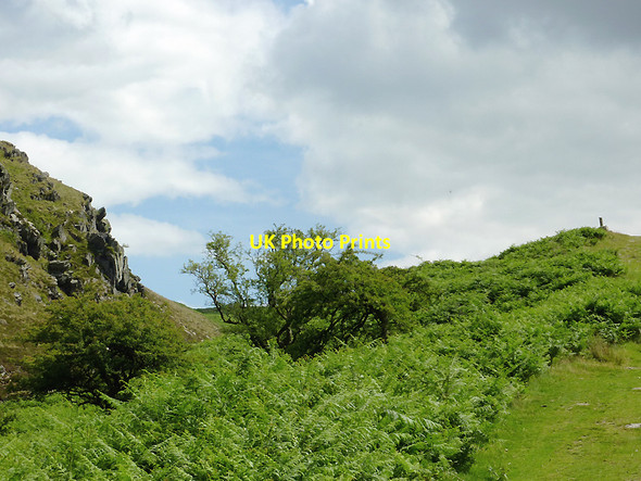 Photo 6"x4" Upper Cwm Egnant, Ceredigion Strata Florida c2011