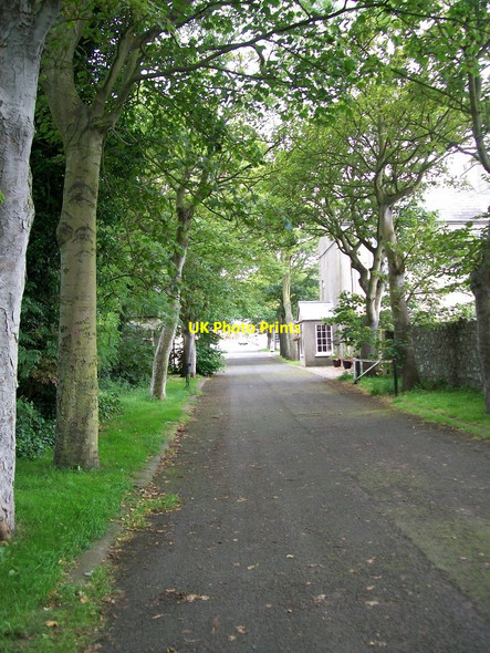 Photo 6"x4" View west along Church Avenue, Killough Killough c2011