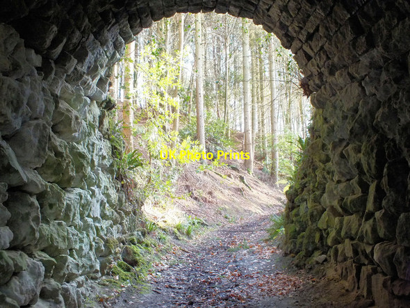 Photo 6"x4" Looking up Ansty\/ST9526 c2011