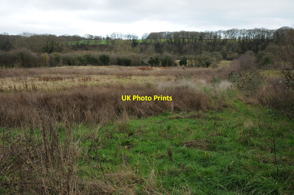 Photo 6"x4" Rough grazing near Breinton Breinton Common c2011