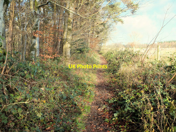 Photo 6"x4" Along the top Ansty\/ST9526 c2011