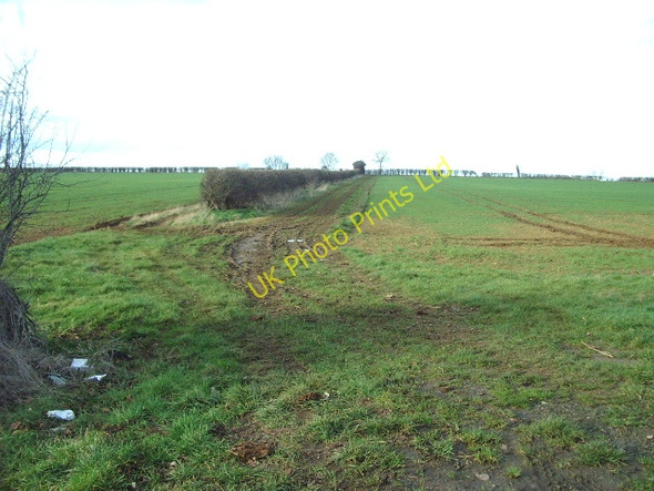 Photo 6"x4" Muddy Track Northbrook\/SP4922 c2007