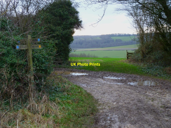 Photo 6"x4" Signpost on Telegraph Hill Compton\/SU7714 c2011