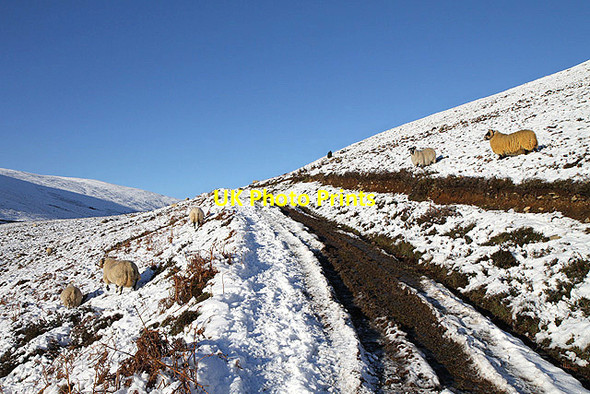 Photo 6"x4" On the path to the Three Brethren Broadmeadows\/NT4130 c2011