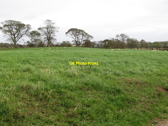 Photo 6"x4" Farmland east of  the Ardglass Road in the Townland of Ballyhosset Ardglass c2011