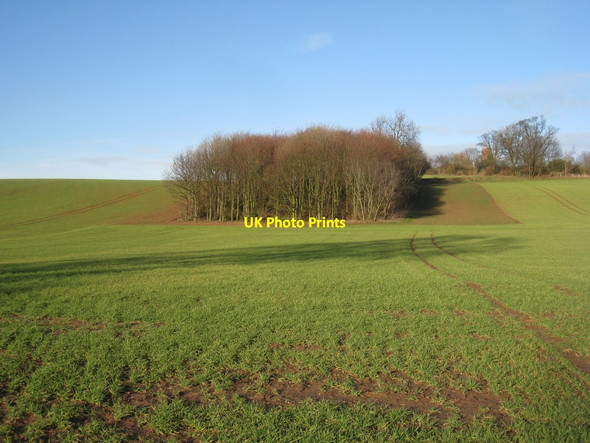 Photo 6"x4" Plantation and Gringley windmill Gringley on the Hill c2011