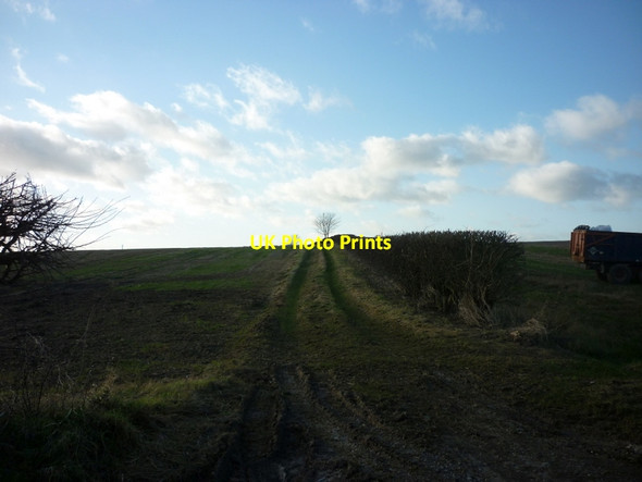 Photo 6"x4" A bridleway leading towards Thorganby Hall Thorganby\/TF2097 c2011