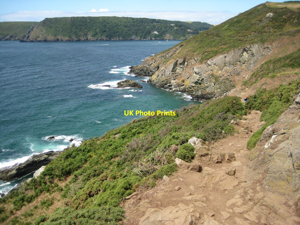 Photo 6"x4" Coast path below Portlemouth Down Salcombe c2011