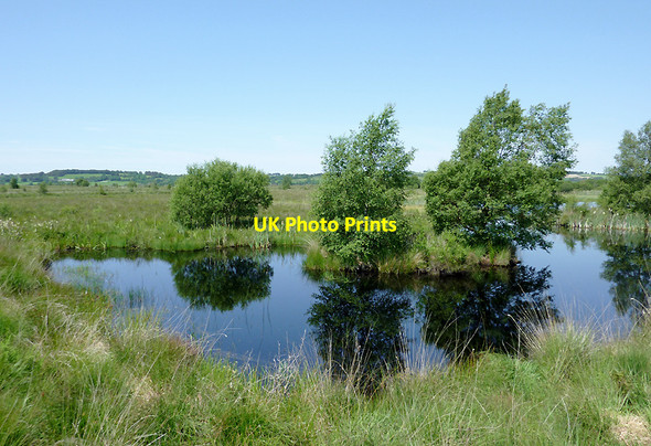 Photo 6"x4" Pool on Cors Caron  (July), Ceredigion Tregaron c2011