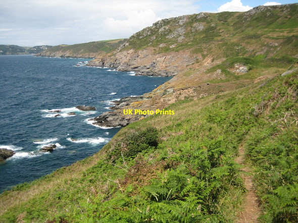 Photo 6"x4" South Devon Coast East Prawle c2011