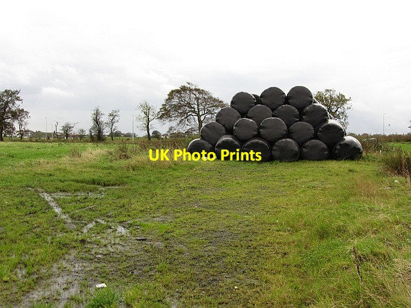 Photo 6"x4" Round bale silage Auchinloch c2011