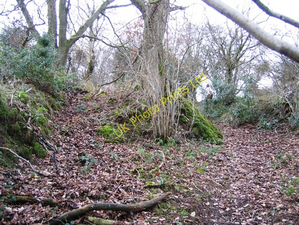Photo 6"x4" Ancient Trackway Pen-y-felin\/SJ1569 c2007