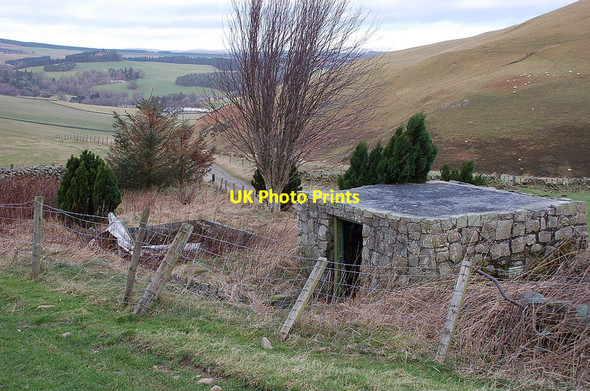 Photo 6"x4" Ruined dwelling above Eddleston Eddleston c2012