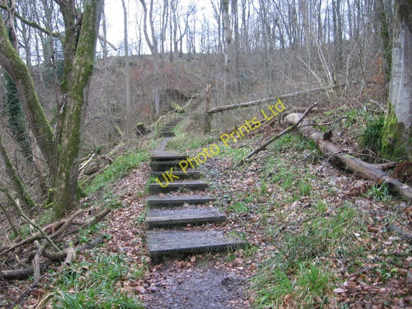 Photo 6"x4" River Ayr Way in the Ayr Gorge Woodlands Crosshill\/NS4724 c2007