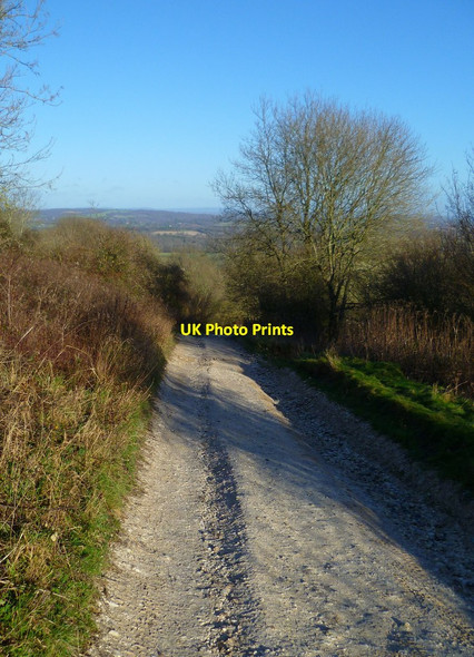 Photo 6"x4" The northward descent from Bignor Hill on the South Downs Way Bignor c2012