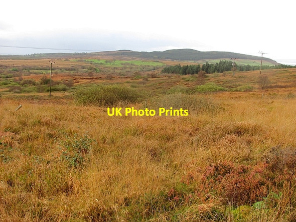 Photo 6"x4" Rough grazing Ballymichael c2011