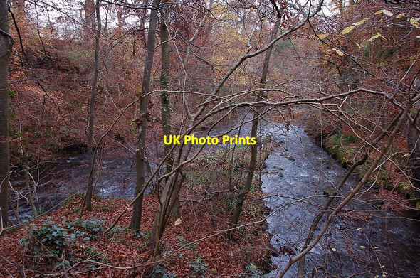Photo 6"x4" Confluence of the Gore Water and the South Esk Arniston\/NT3461 c2011