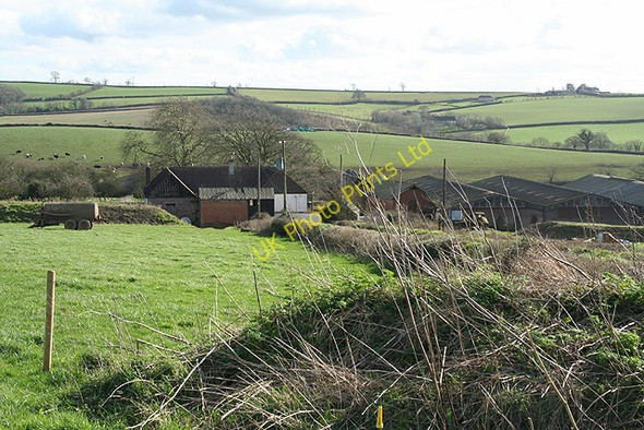 Photo 6"x4" Sandford: by Sandford Ash Carrhouse c2007