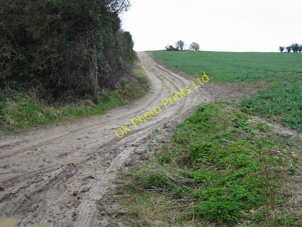 Photo 6"x4" Muddy track across Barrows Hill, looking SE Kingsdown\/TR3748 c2007