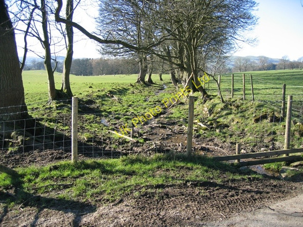 Photo 6"x4" Stream near Bodidris Hall Hotel Gwernol c2007